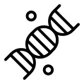 DNA